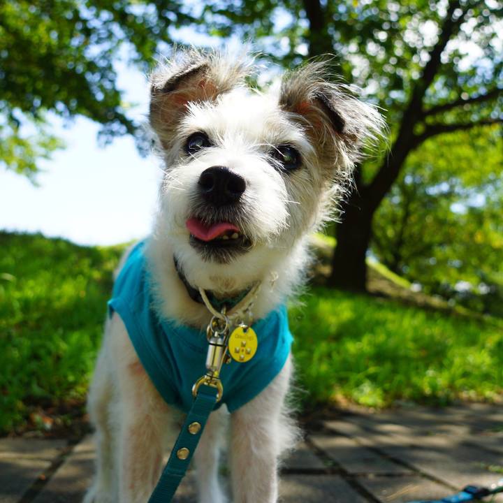 D606fb98 cd1d 447a a1a3 dd33a7b749be