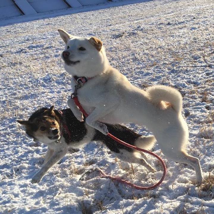 D6072a0c 741b 4073 af31 f60de8b2bf1d