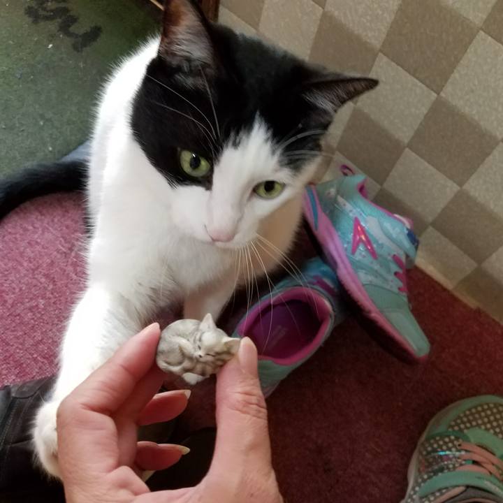 D607356d 98e9 48b6 ba36 e0efc9137835