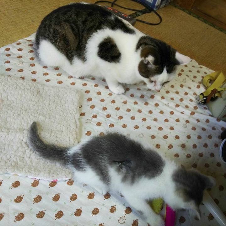 D607b344 8d46 4d76 8dd4 c940fd95ca1a