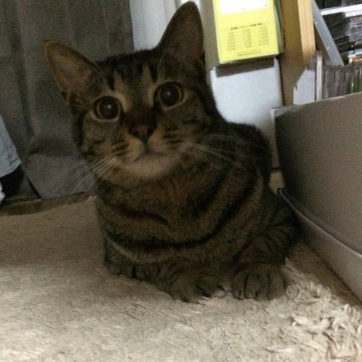 D6084c13 fee8 4771 ba3c 6a963b66b193