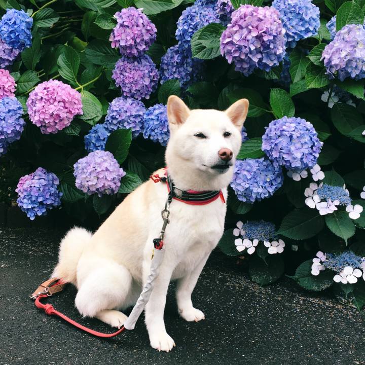 D6089a29 18fb 4dfe bb23 6090a5bd1269