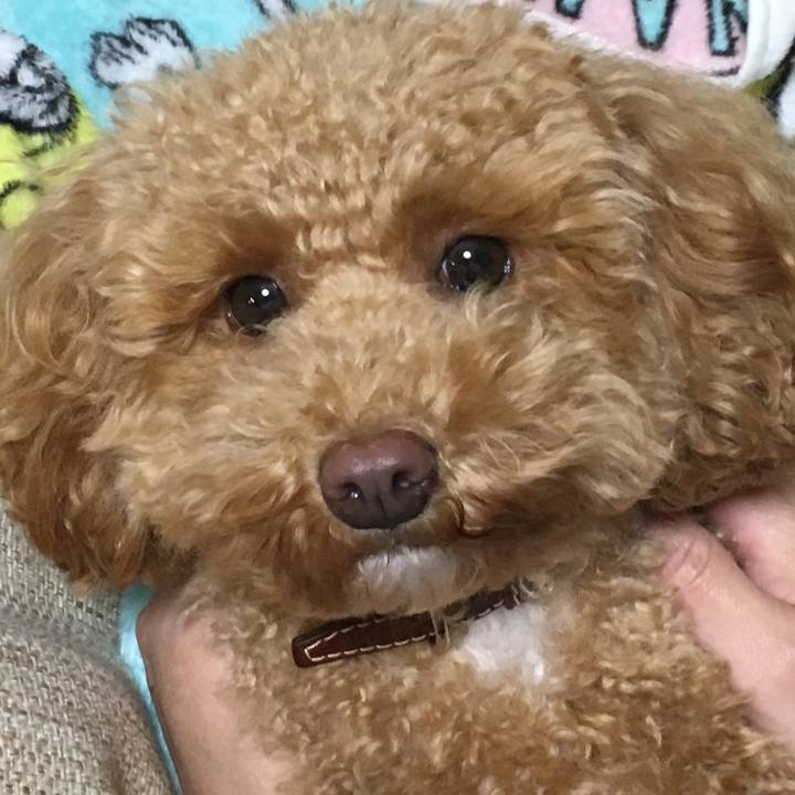 D608a522 d183 422b 95e9 1563c0c4965d