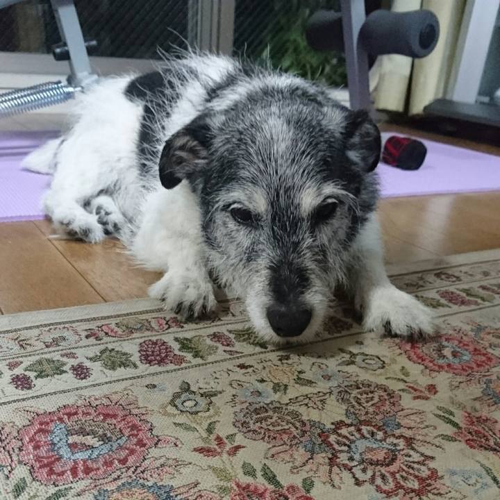 D608b745 be7d 4564 93ac b691199d1eda