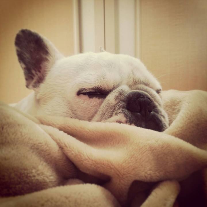 D60950ad 5d16 4b7a 88aa b1e803eba2f0