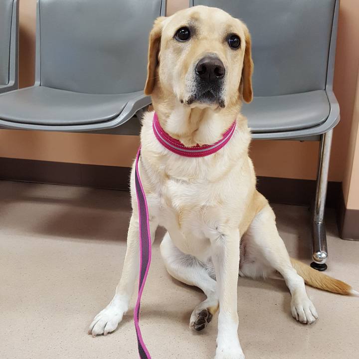 D609deaf f2fe 4fb8 9169 65b8fbf43277