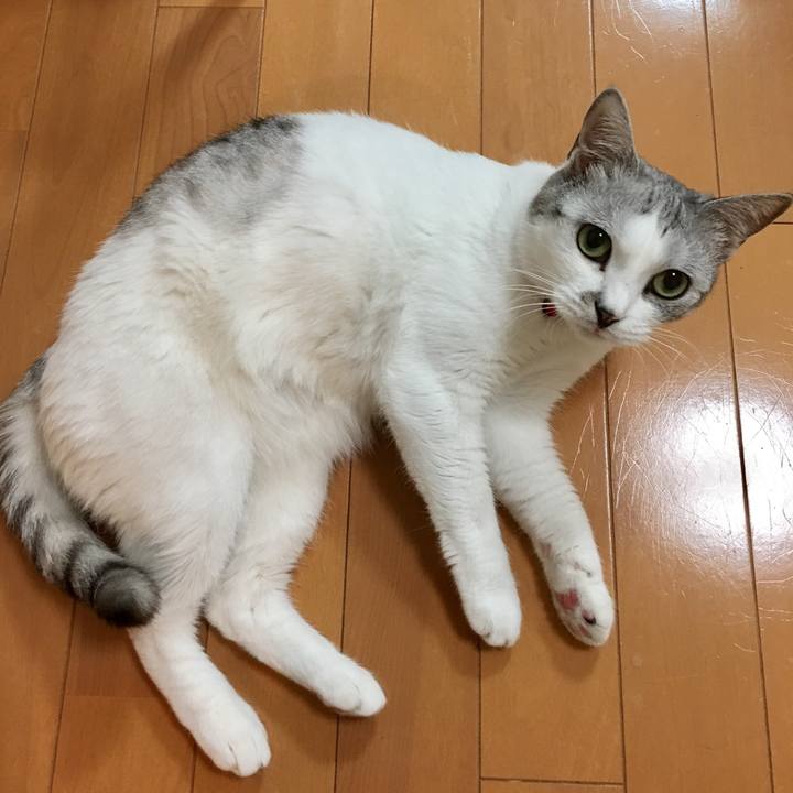 D60a14c7 8ae3 473f 8b0e 74a42842af41