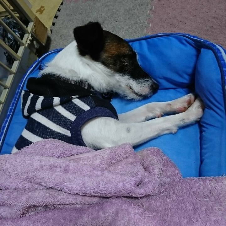 D60a6ac5 43ef 4a9d a0a5 7a0f74768d54