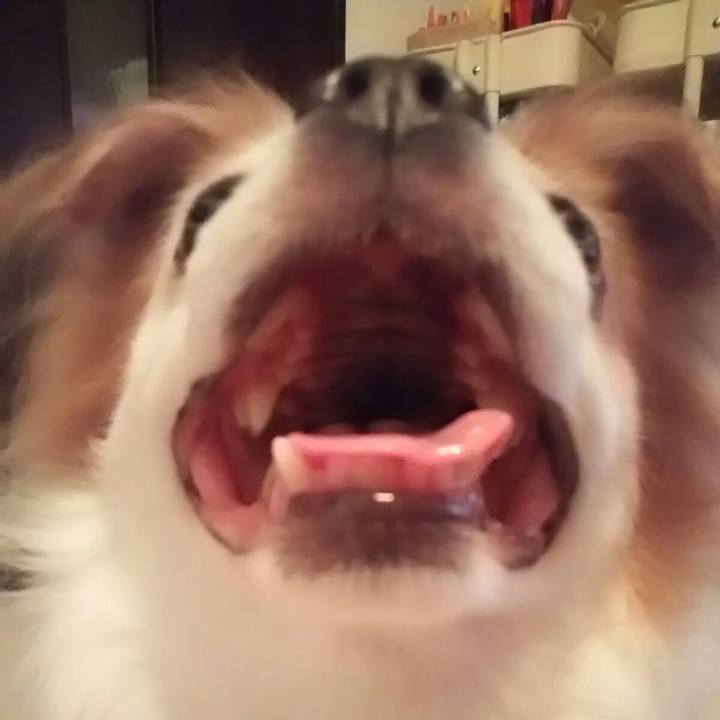 D60af777 f698 461b 8836 a402d9203d4b