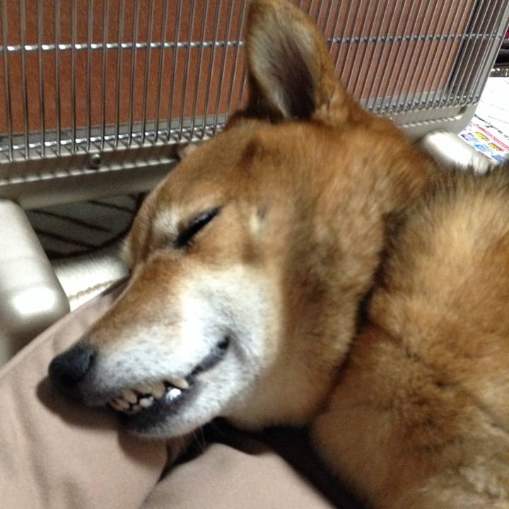 D60b1af9 ca7d 4be0 b4b7 b8e8970507c3