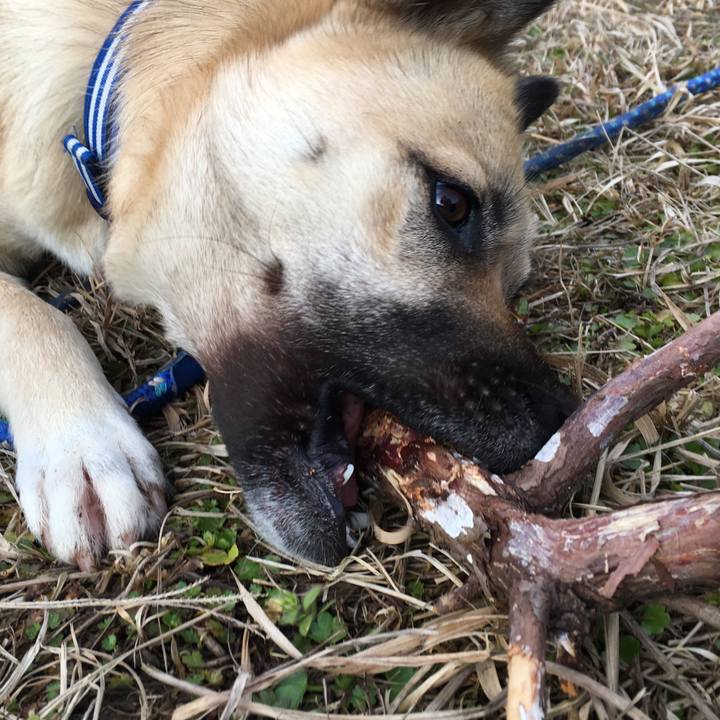 D60b30e2 8631 4c71 be0b 8ed7538f82fe