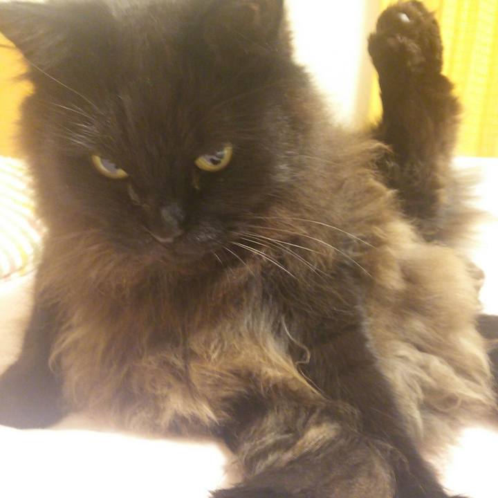 D60bb429 c64f 4d57 9d7a 8d2ef6028ef5