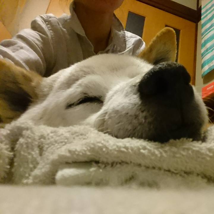 D60e1967 1fc7 40aa aeaf decc99671211