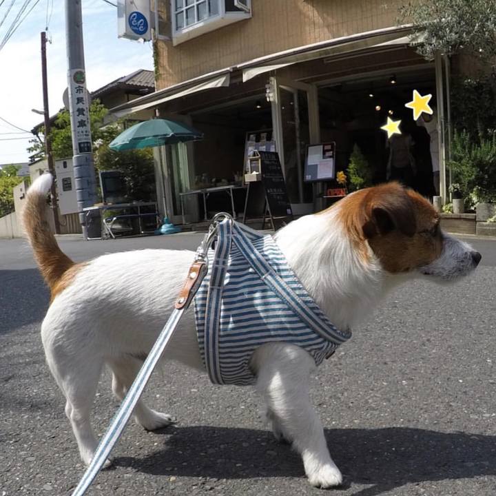 D60e393d 2f5a 4ee9 ba19 64f42c0056a9