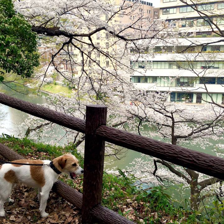 D60e74ab e427 42b2 ac37 1f3436553f92