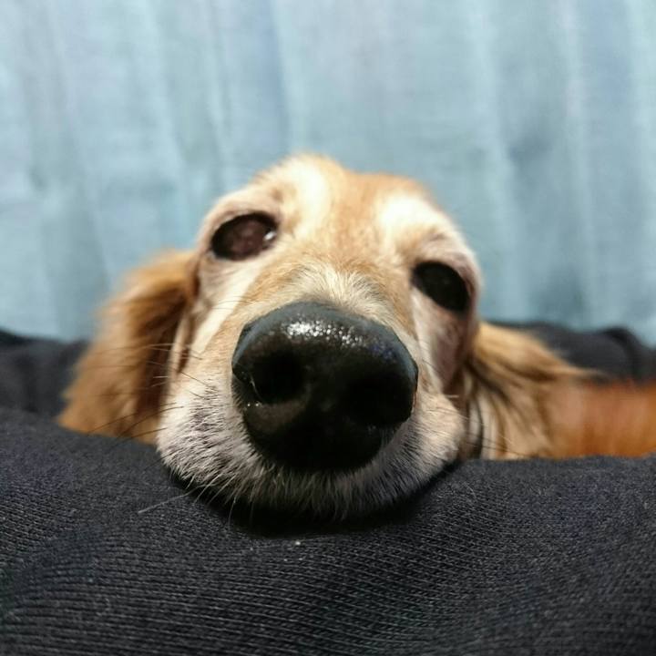 D60f13e4 502f 4a03 8a7d 99dd5fe979b7