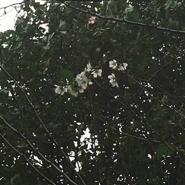 D60f3628 64b4 495c 9f3f 50d3521d83d2