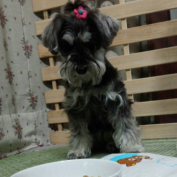 D61048c6 baf6 44b4 be28 b9e9c851c65d