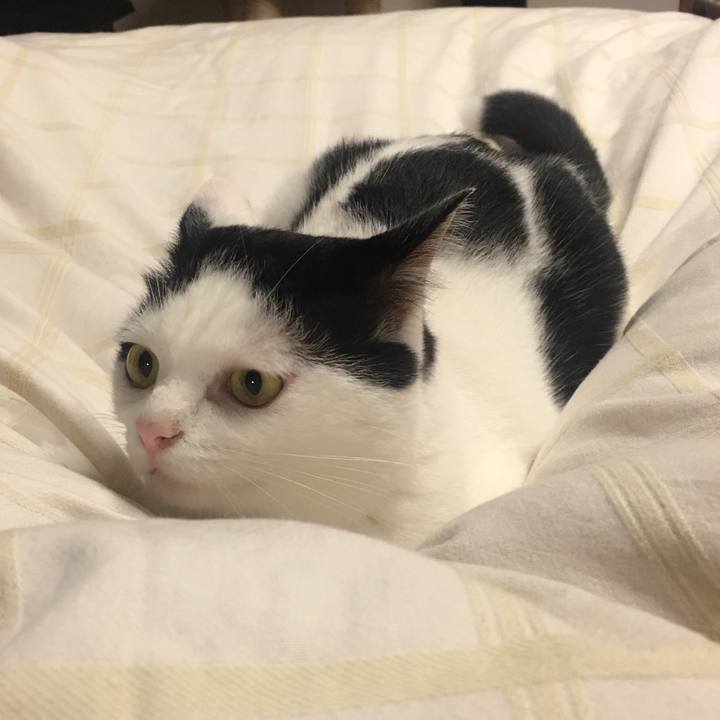 D6110fc2 0bab 4e0d ab88 c4b823cdb0f7