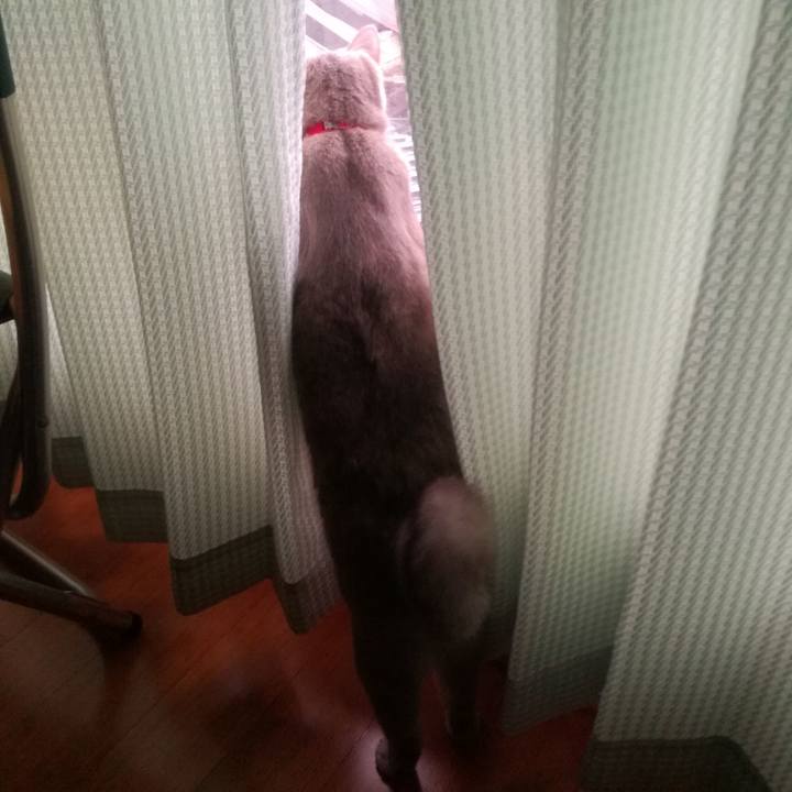 D6114256 64d9 48c9 b608 07ee28078a50