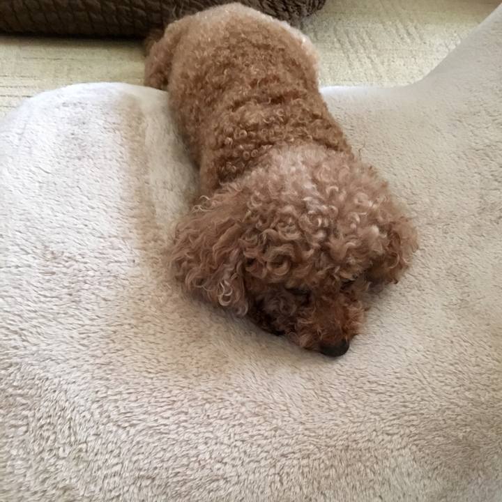 D611d75b 2278 46fa 8683 99a9089e464c