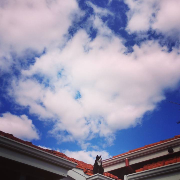 D611ea2d 31b8 4fff 9cad 4004097c7414