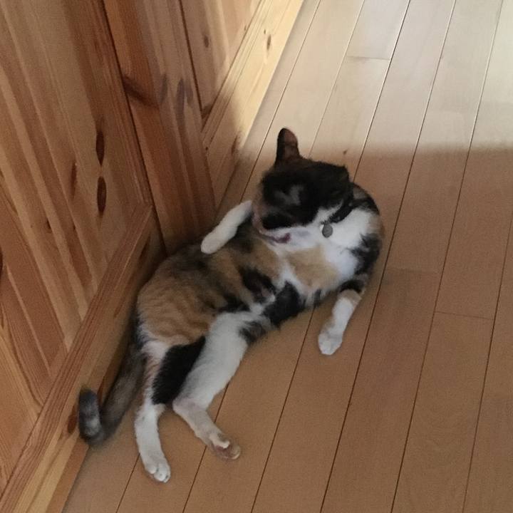 D6120ec4 0b63 441a 9969 7b3a5c01b00f