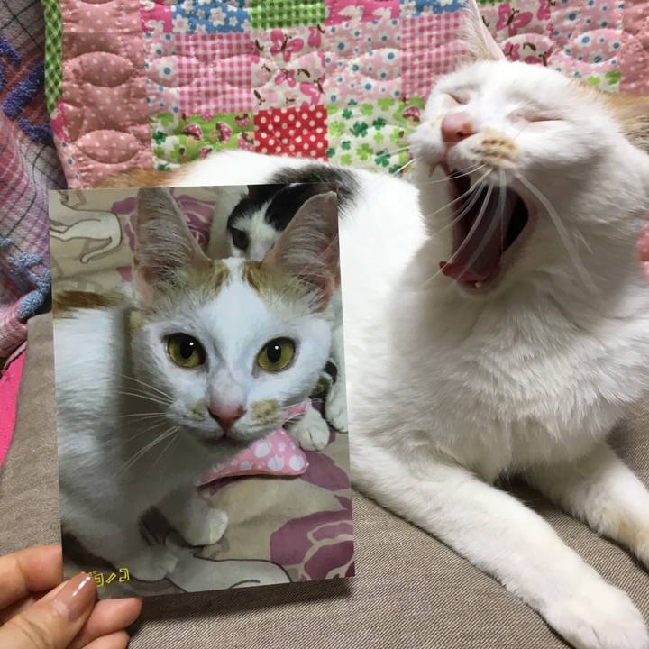 D6126548 d269 49be 8419 7d3d56513f4d