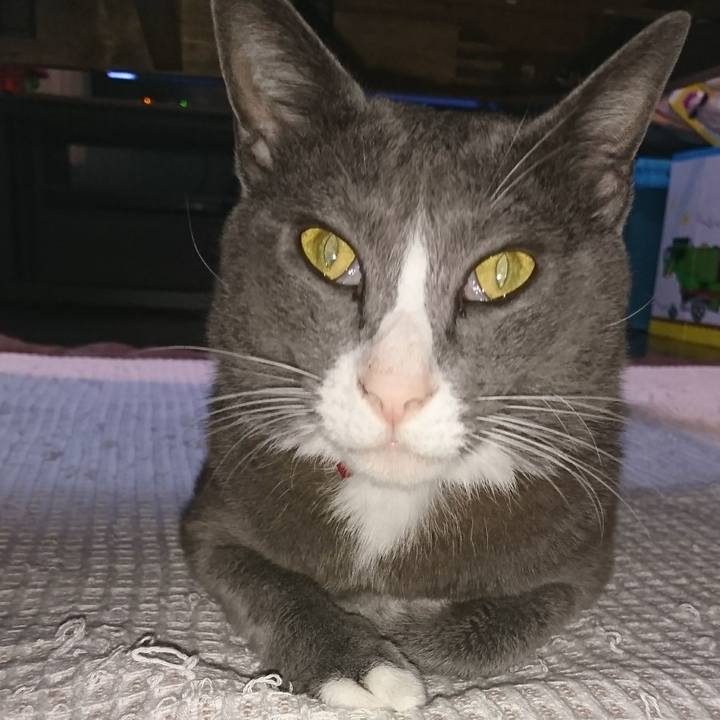 D6128a95 1f6d 4ad9 b239 f86df593a4c4