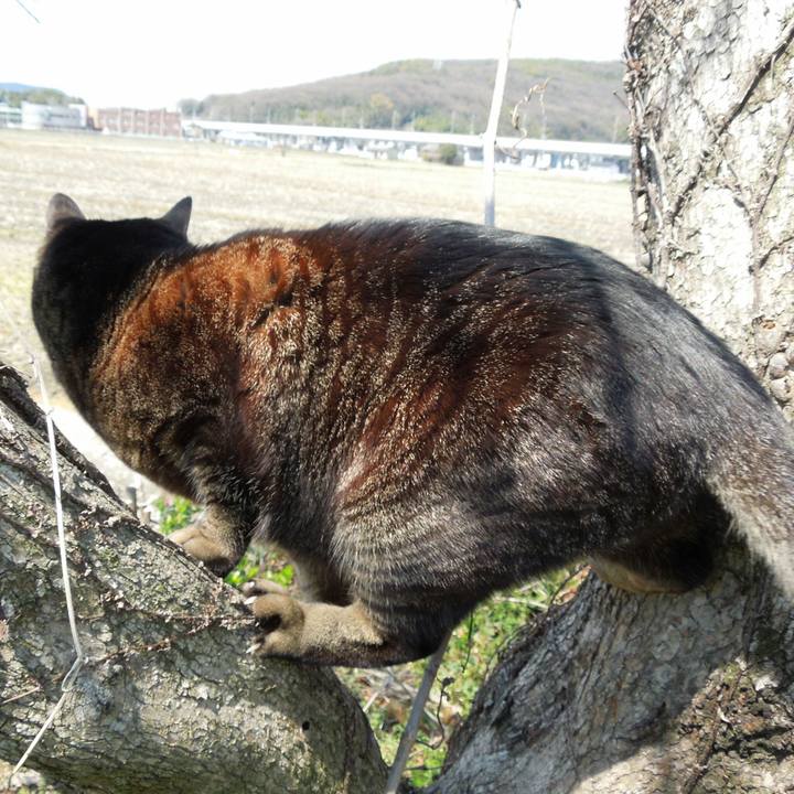 D612b7ed 781e 476f a768 4f5dd0ce0f86