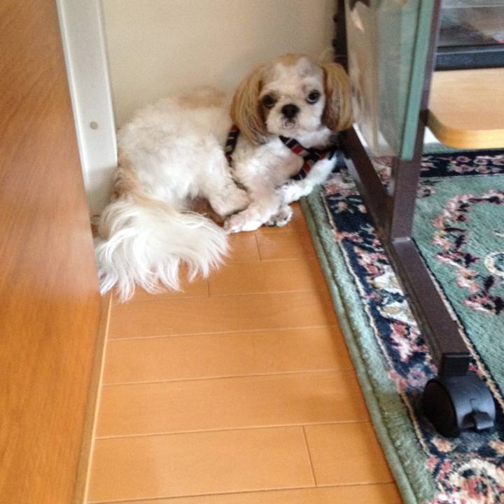 D6139a26 56c1 4a58 8c70 91cdcd2bd8bb