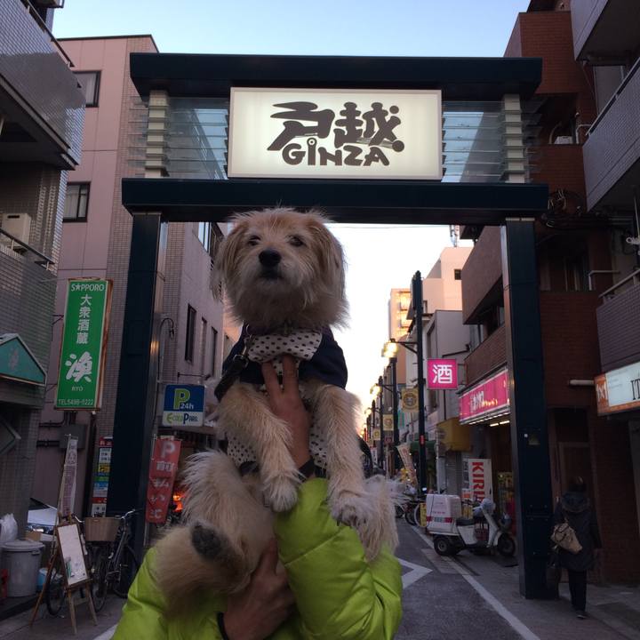 D613dcb2 536c 4f5b b132 e920ac49cc30