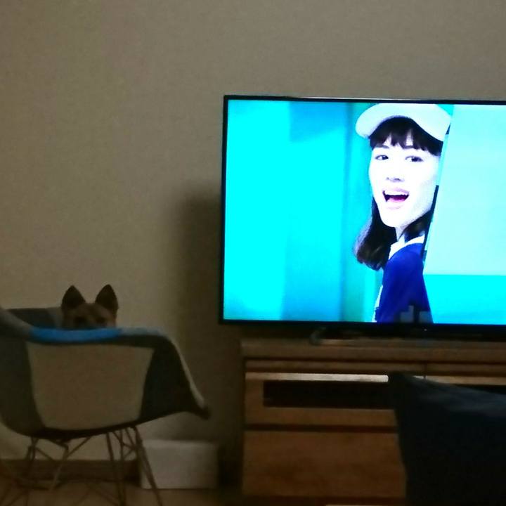 D6141e88 fbd7 48d7 9f4d 3dfcdbd78ee7