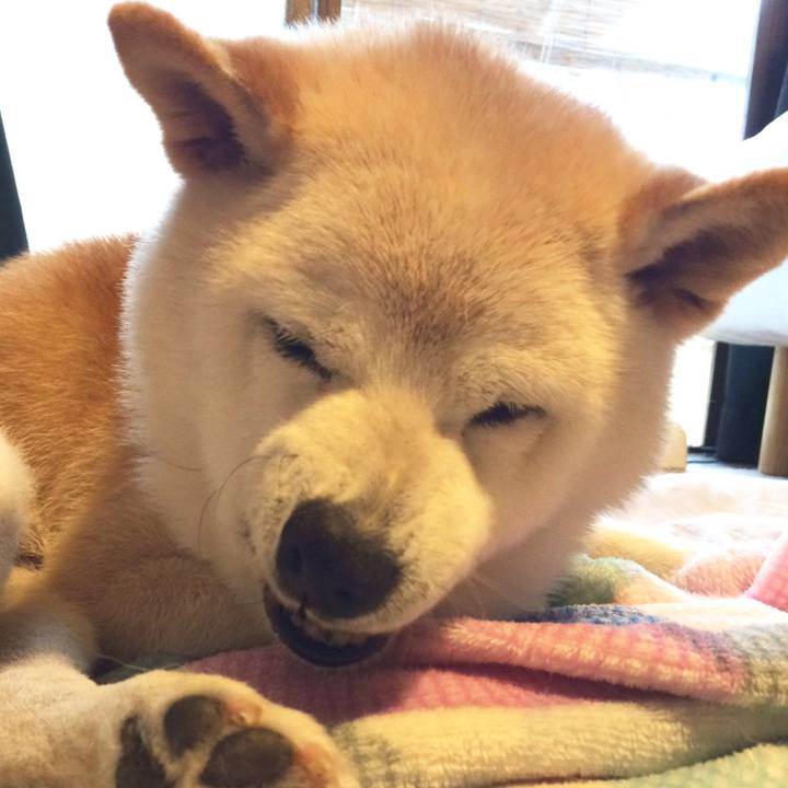 D6149712 000d 4298 b22e 7b3bcf174f0f