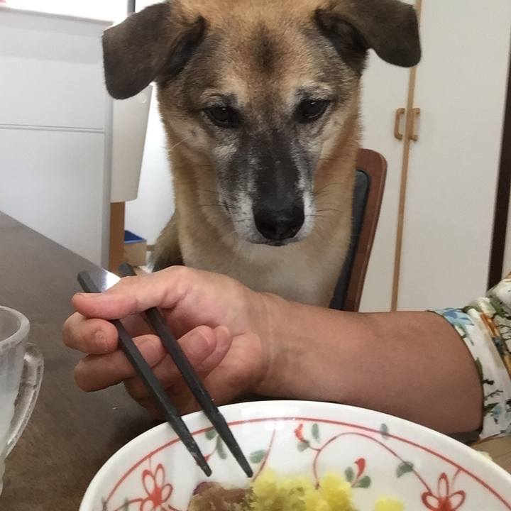 D6155743 07af 4ad9 b038 0c9aca6136cd