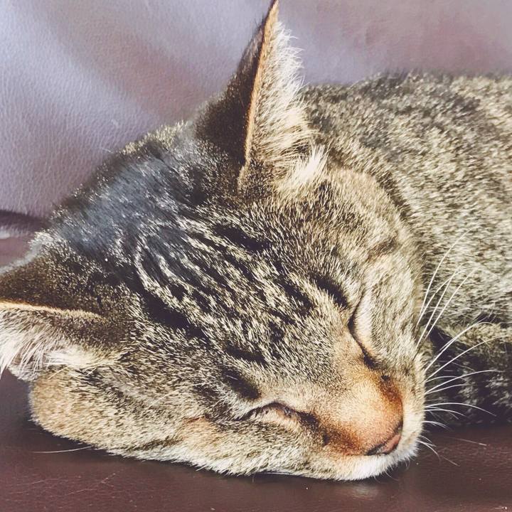 D615bacd f204 4c91 b764 c67fa03103b0