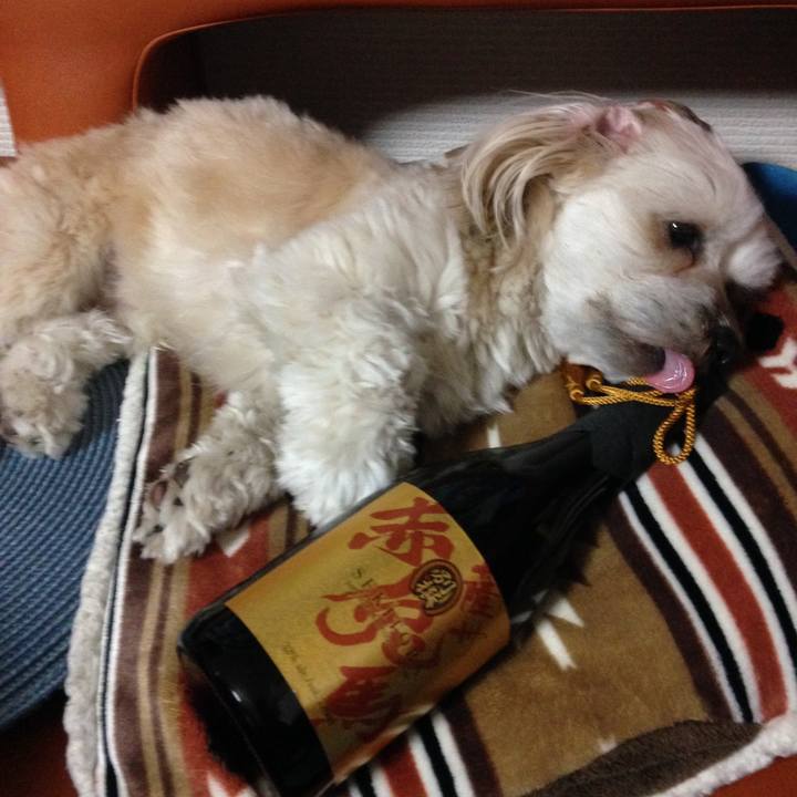 D6160e0b 8c11 4c20 8bc5 5df4469a99bd