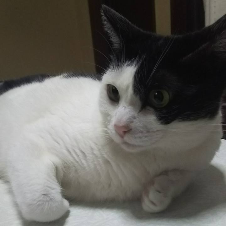 D6168d6b 2166 4197 8b40 f2c3d56822ae