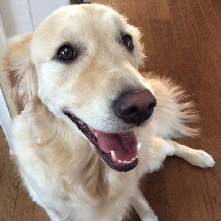 D616b7bb 88c3 4de7 bcf4 37c4c62b8d68