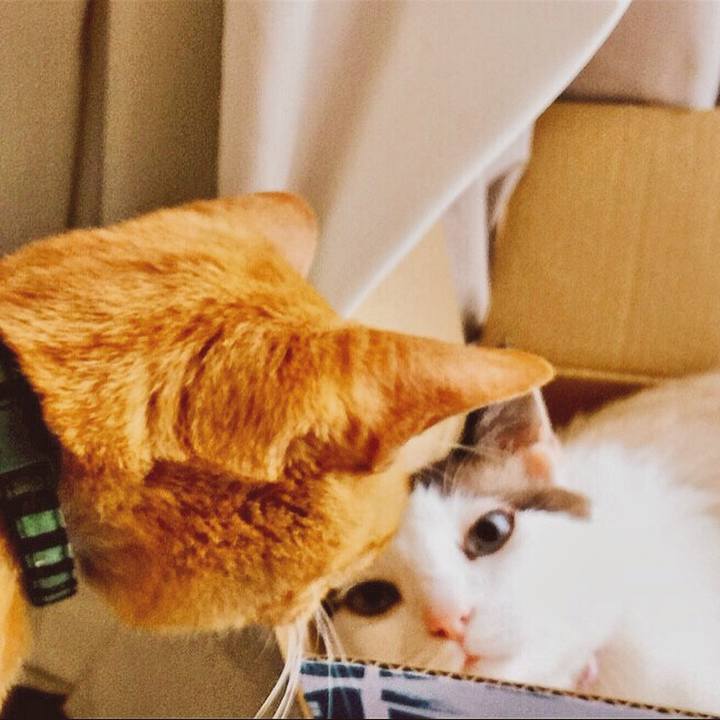 D616d461 9e8d 4e1a b44b 7a0947aae25e