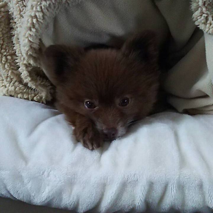 D617e974 d3af 47c5 a905 089da726fa46