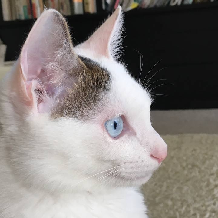 D617fa89 6b8d 431f 98c3 f654778b0b97