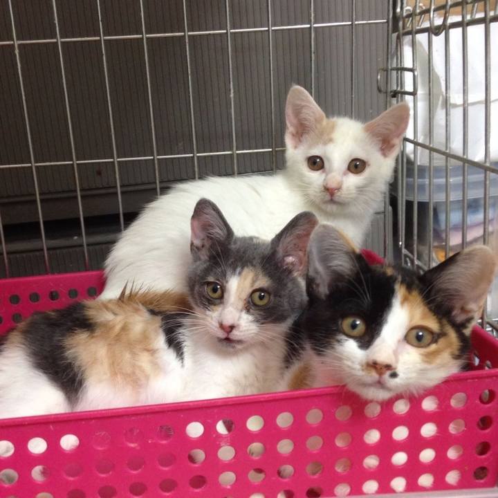 D618179e 203f 4e80 a4b8 d52f63a5321b