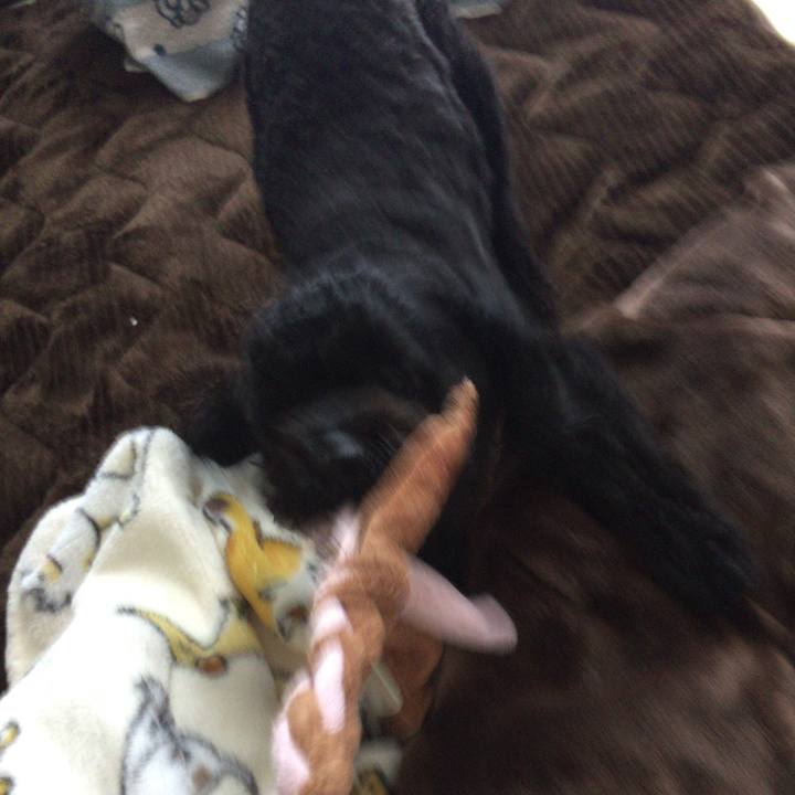 D6189968 5526 439a 9621 ab3492661dc2