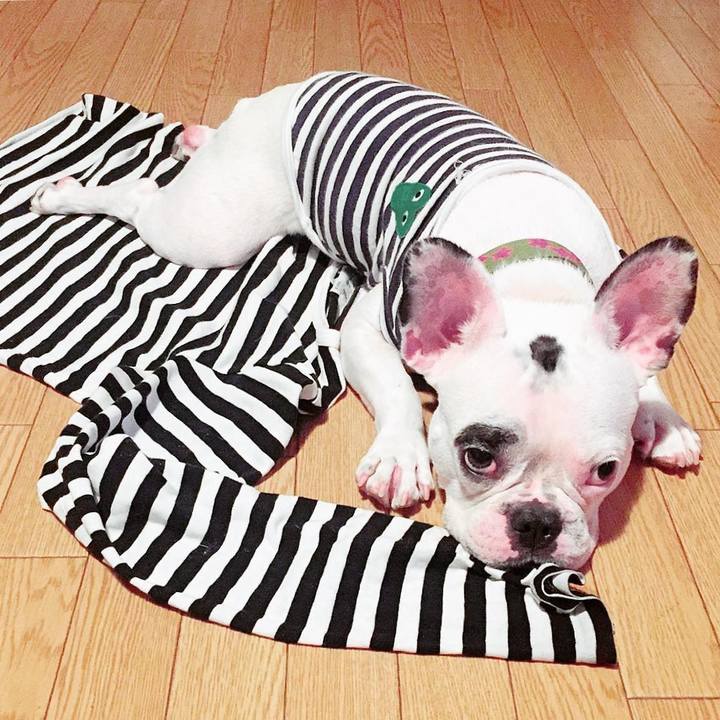 D6194246 fea6 4bfa a9fa c60768602e3a