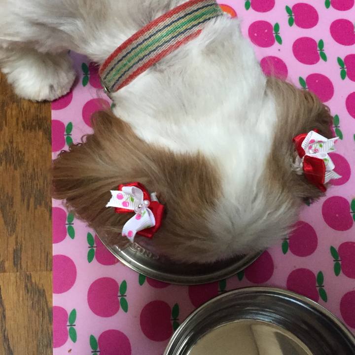 D6199e39 4788 44f8 9a6f d905d1f1db45