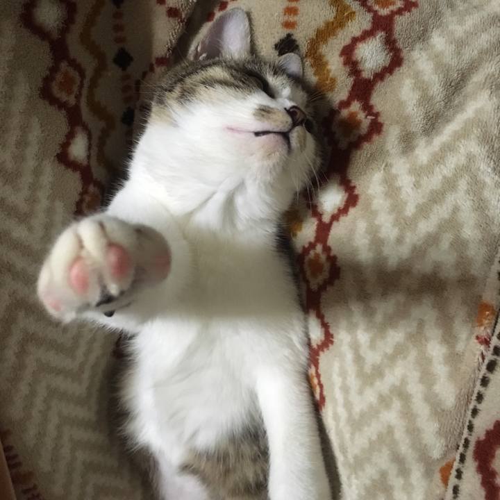 D619c1e7 4664 4811 8edb 17707a0af855