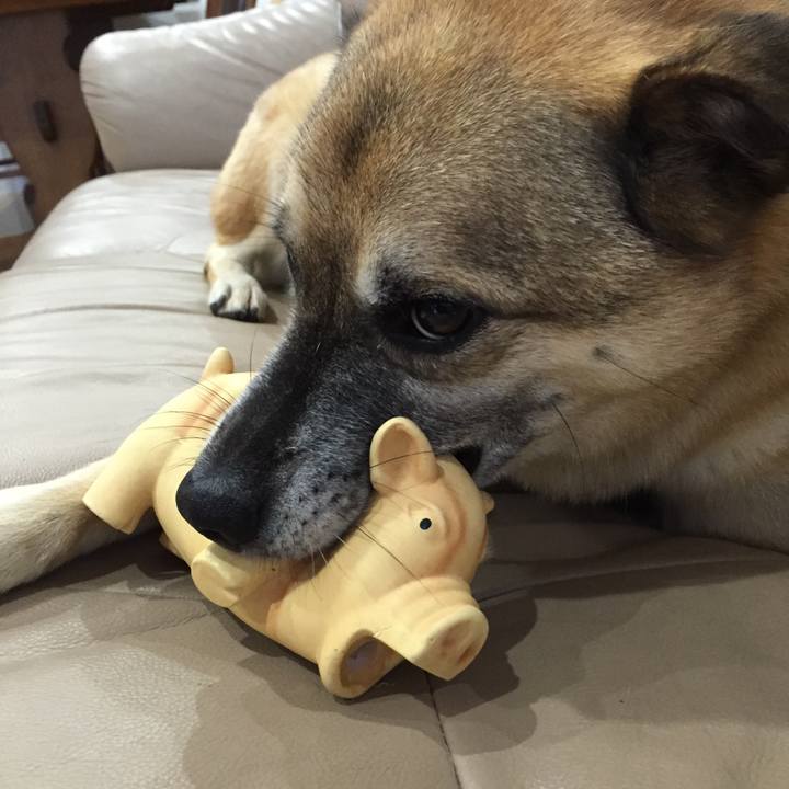 D619cf51 568f 44e6 b813 6d11e37a0424