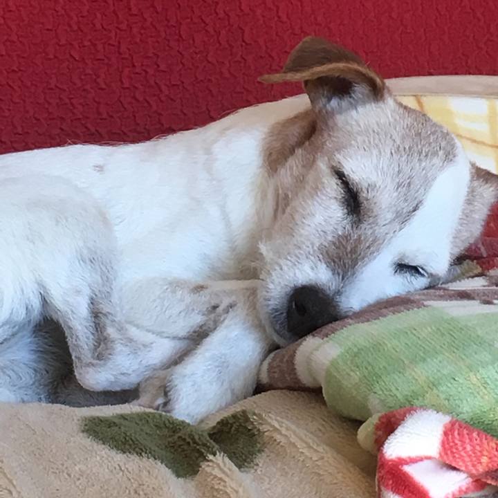 D619feb4 86c6 46f9 a90f 62b02c8aa7ea