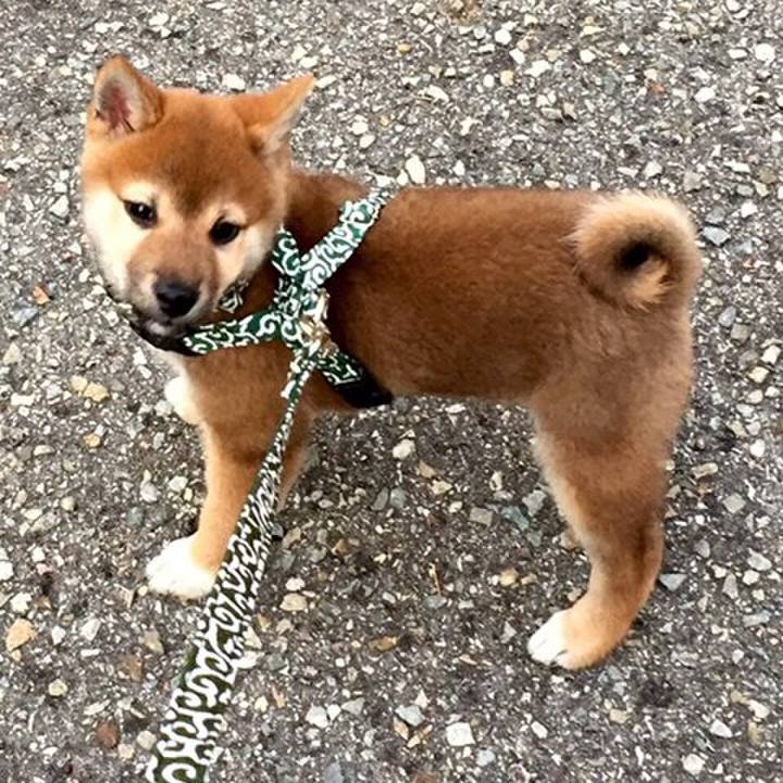 D61a47e4 f47e 4f2e 8efb 46a983d1a383